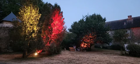 Arbres éclairés en rouge et jaune dans un jardin